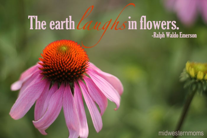 Quotes About Mothers And Flowers. QuotesGram