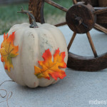 Fall Painted Pumpkin