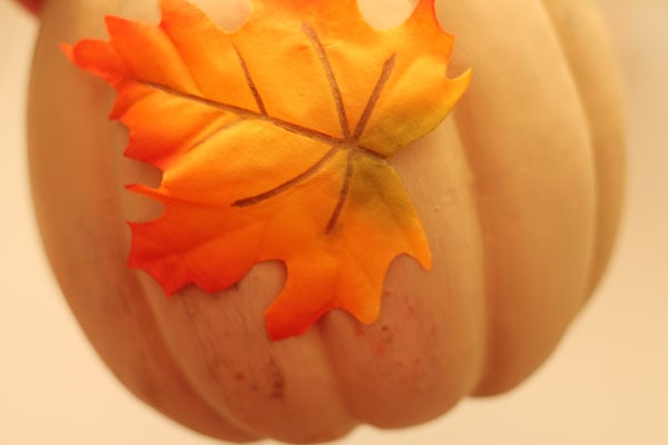 Leaves on Pumpkin