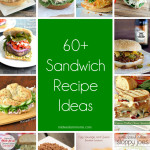 Over 60 Sandwich Recipe Ideas!