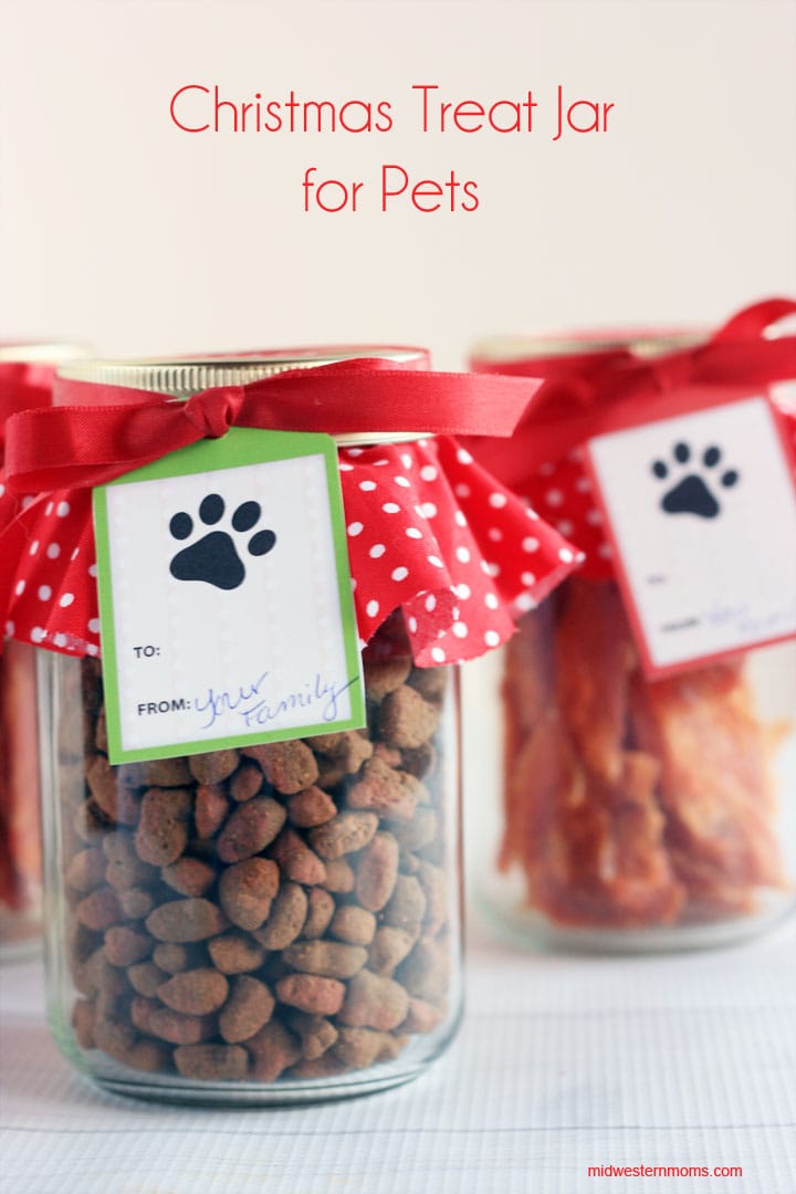 Don't forget your pets this Christmas! Make sure to make them a cute Christmas Treat Jar. Easy Tutorial!