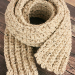 Stay warm this winter with this Free Scarf Crochet Pattern.