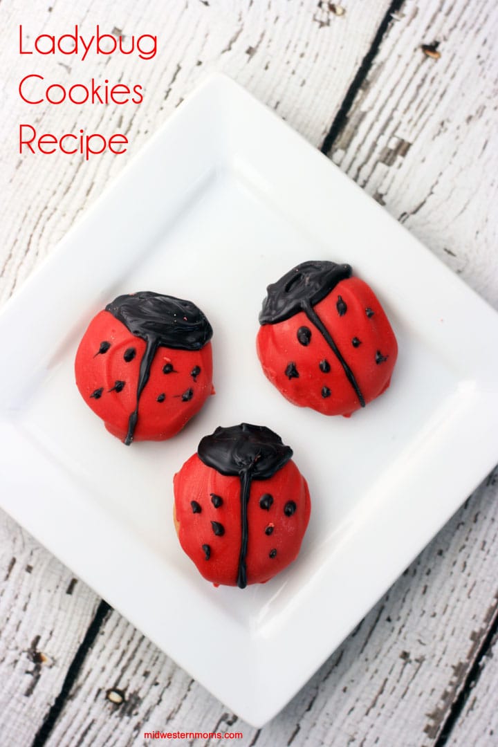 Easy Ladybug Cookies Recipe