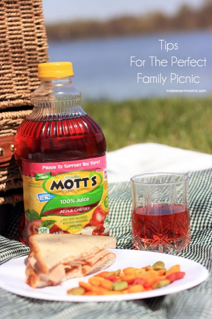 Tips for the Perfect Family Picnic.