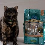 Miss Kitty with her Blue Buffalo Blue Wilderness cat food.