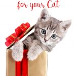 Purrfect gifts for your cat