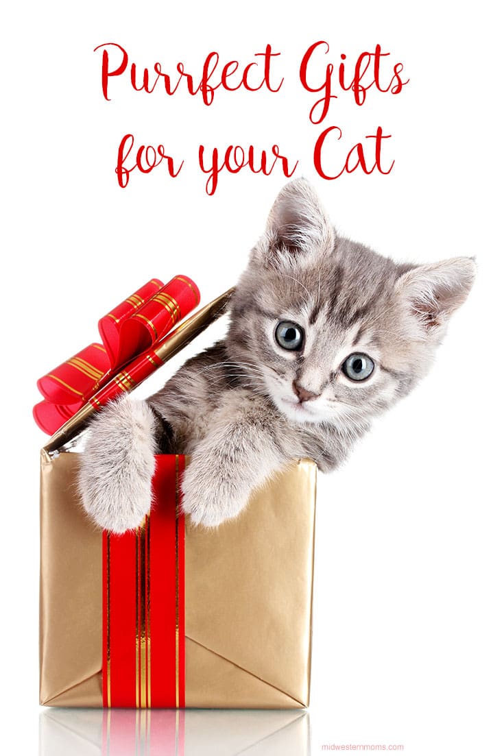 Purrfect gifts for your cat