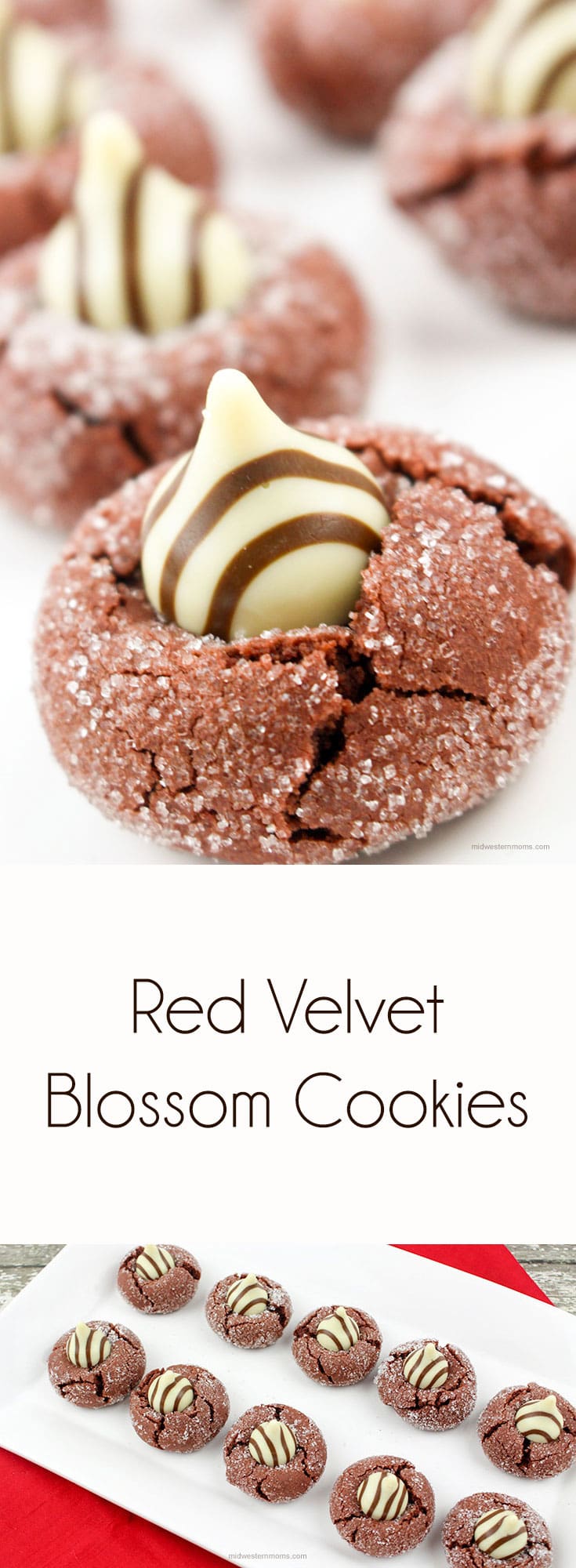 Red Velvet Blossom Cookies