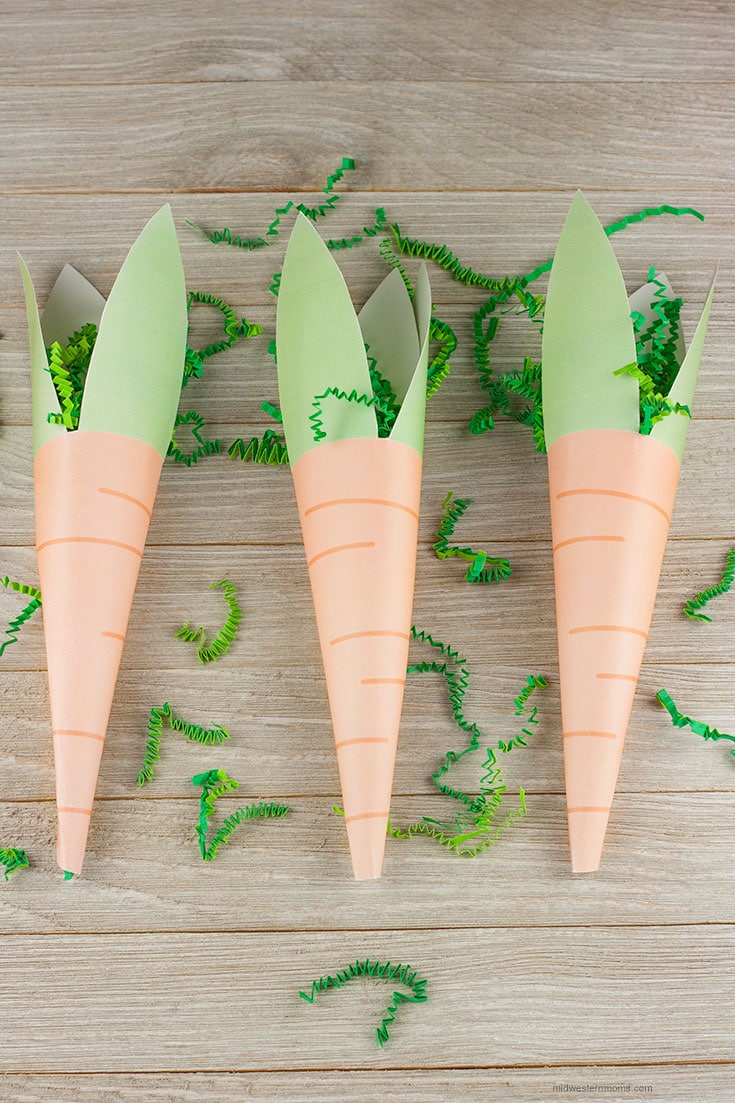 Easter Carrot Cone Treat Bag