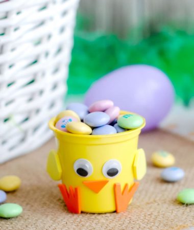 Easter Chick Craft