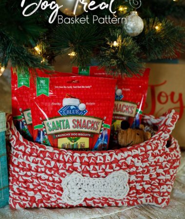 A crocheted basket that holds dog treats. Complete with a dog bone applique.