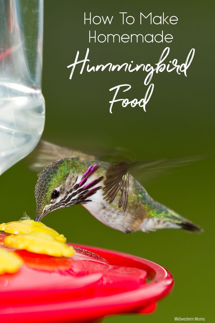 Hummingbird drinking from a feeder.